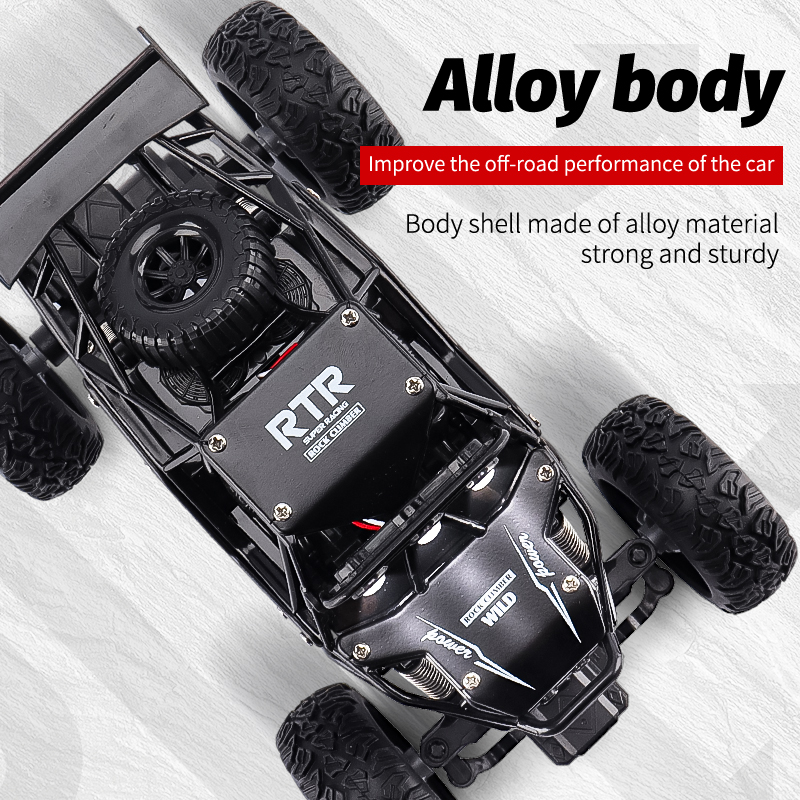 ZWN 1:16/1:20 2.4G Model RC Ca - Kids Outdoor Dirt Toys review and price
