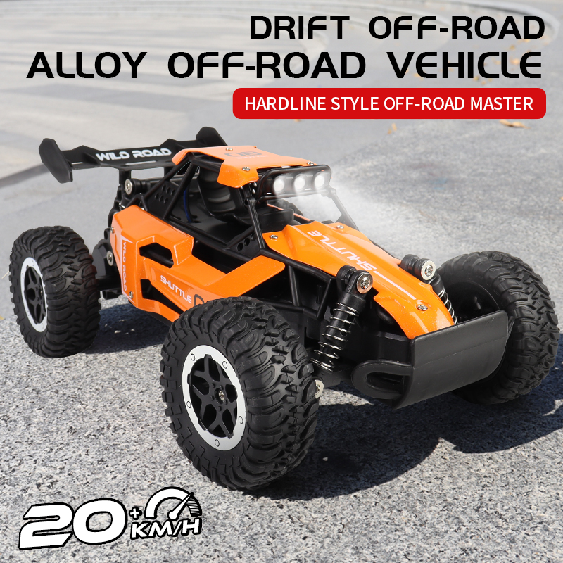 ZWN 1:16/1:20 2.4G Model RC Ca - Kids Outdoor Dirt Toys review and price