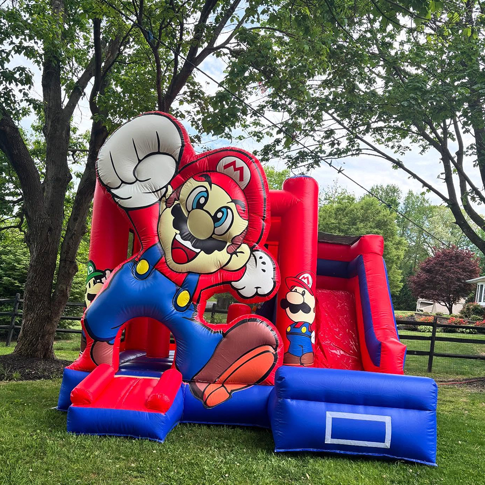 Custom Inflatable Bouncer Kids - Kids Outdoor Jumping Castle review and price