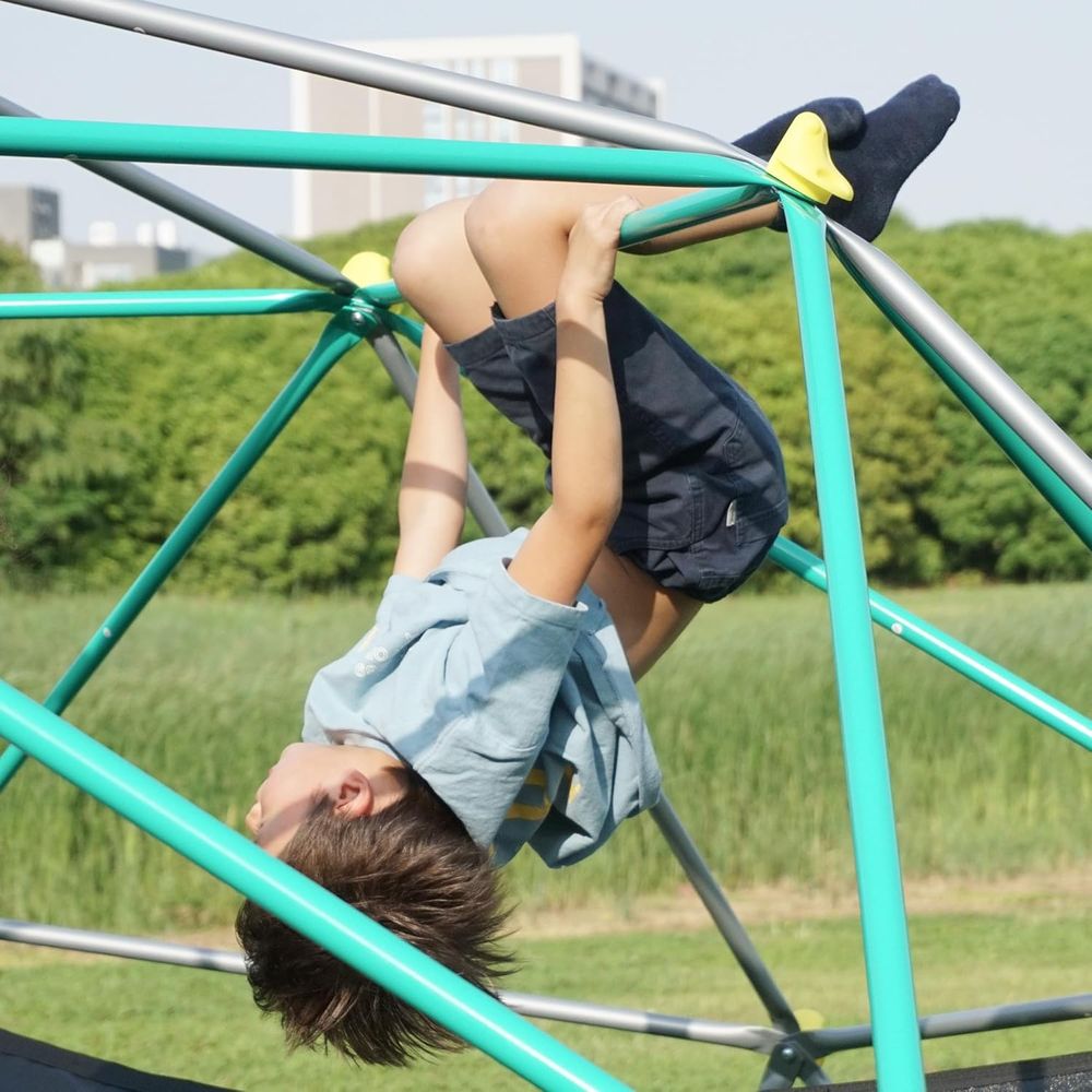 Me12T ClimDome, Outdoor Dome C - Kids Outdoor Dome Climber review and price