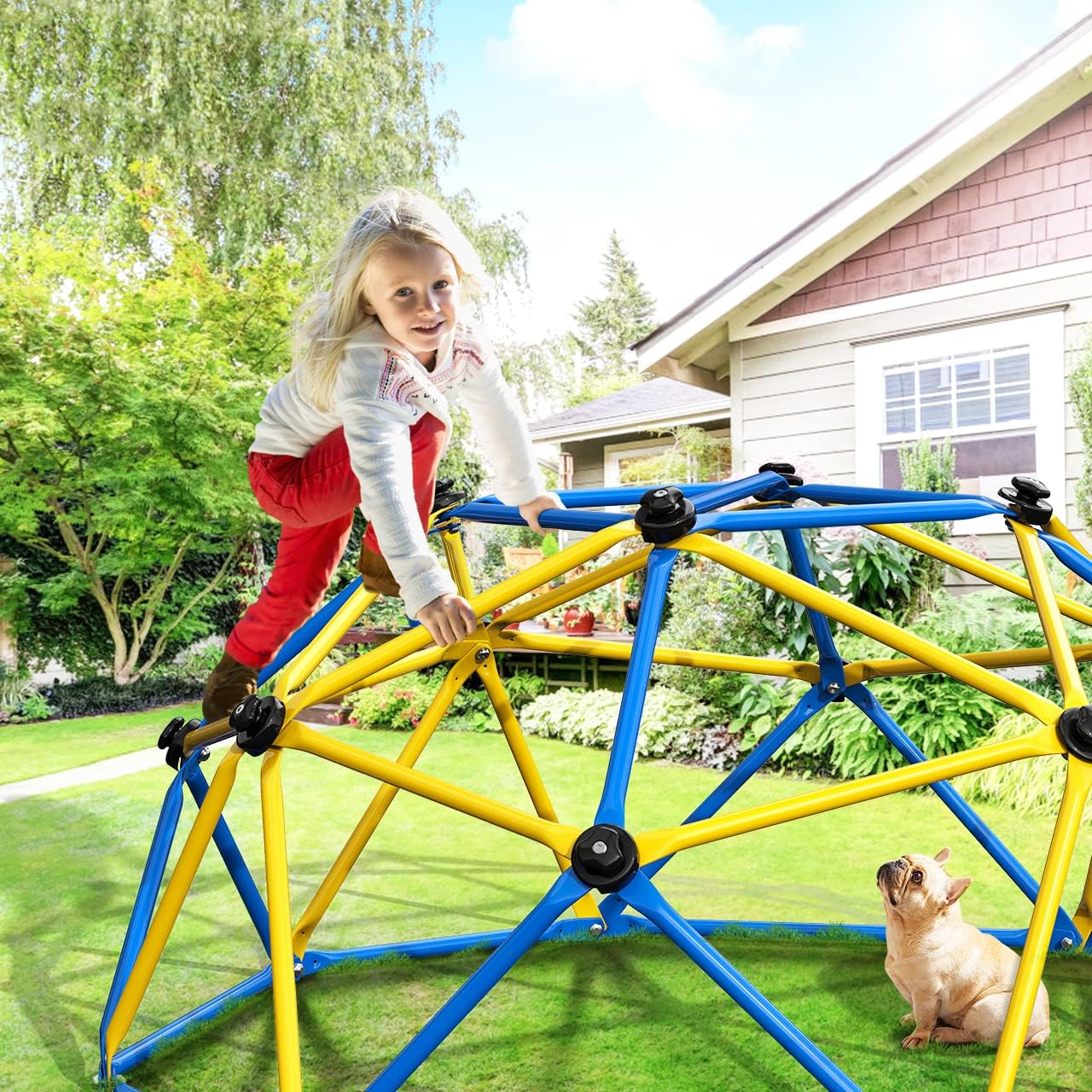 Climbing Dome, Upgraded 6FT Ge - Kids Outdoor Dome Climber review and price