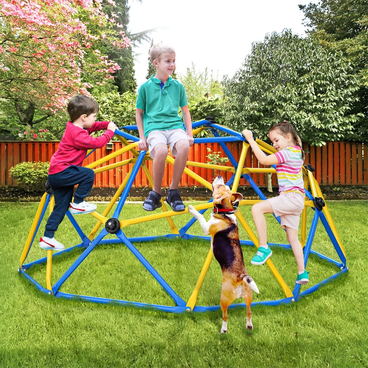 Climbing Dome, Upgraded 6FT Ge - Kids Outdoor Dome Climber review and price