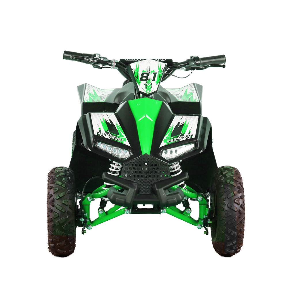 Kids Electric ATV Quad 1000W 4 - Kids Outdoor Electric Quad review and price
